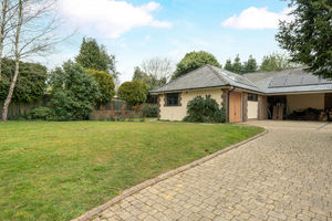 Photo 3- click for photo gallery